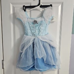 Cinderella Costume